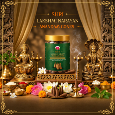 Shri Lakshmi Narayan Anandam Dhoop Cones